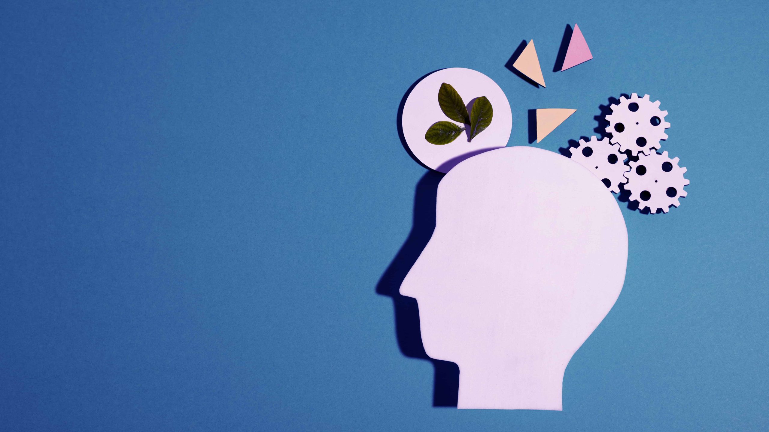 Nostos - psiholog osijek